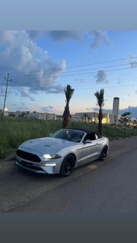 موستانغ • ١١٢٠٠٠ كم • تبديل دهوك