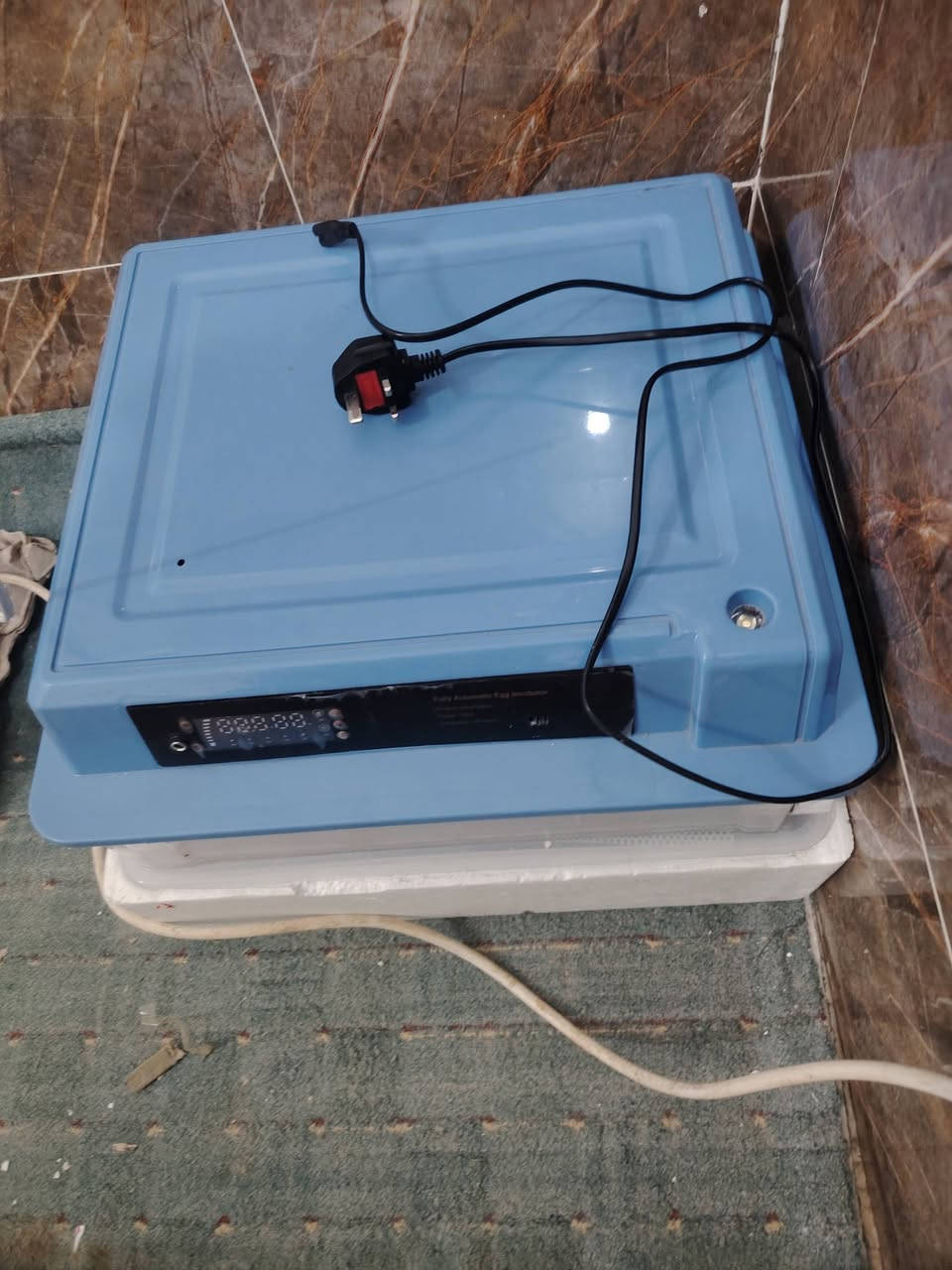 مقفاس للبيع بسعر مناسب يأخذ 120 بيض اوتوماتيك فول الي يريده يجي خاص او يكتب بل تعليق


**إذا كنت صاحب هذا الإعلان وتريد حذفه لأي سبب، رجاءا أرسل رسالة إلى الدعم الفني**