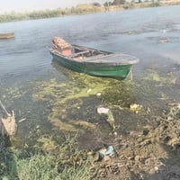 ياماها ٣٠ • ياباني أصلي • بلم فايبر