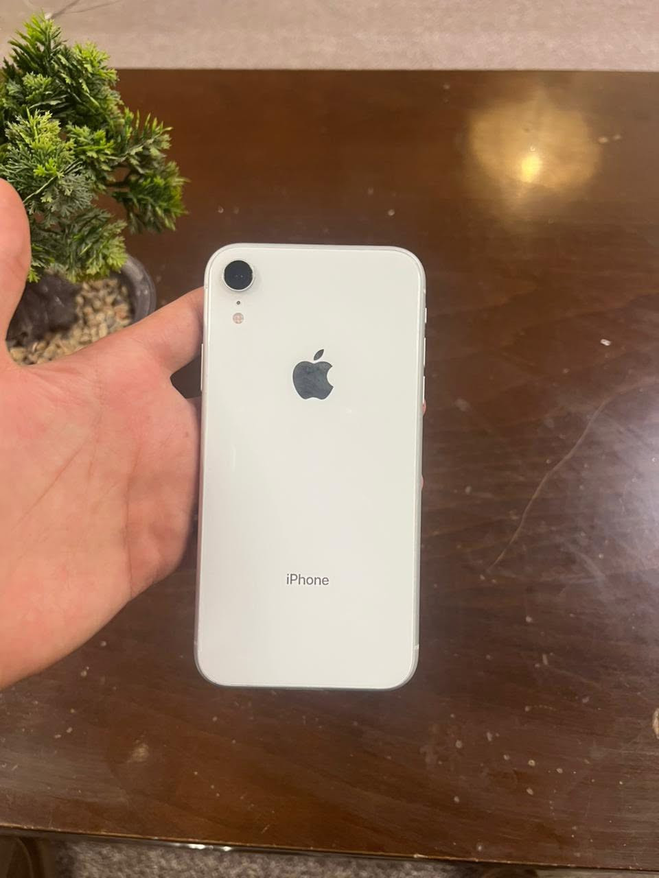 آيفون XR مبدل بطاريه وشاشه اصلي نسبه البطاريه 83 جهاز نضيف كلش كاميرا فيس إيدي كلها شغال مابيها اي عيب 64 غيغا استخدام شخصي مابي اي خدوش السعر 180 وبيها مجال مكاني كركوك حي الواسطي مستعجل ع بيعها للتواصل فقط واتساب ***********
