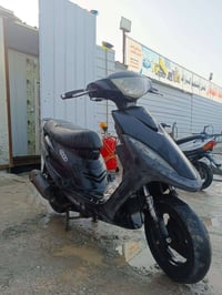 ٣شهور • أوراق • ختم واحد