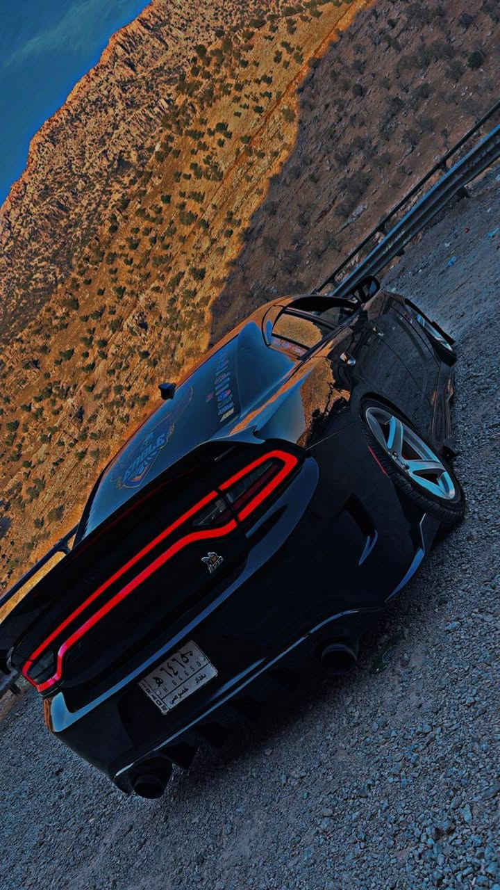 السلام عليكم للبيع جارجر 2016اصلل بغداد تحويل مباشر حادثه جاملغ امامي فقط الباقي كفاله مكينه 5700 سيارة فول تزويد چكات سقف روز رايز لايت لد متغير مري قلاب كاكات تحكم كزوز كشنات حضن سيارة جاهزه محرك كير تخم تاير كهربائيات حداده تبريد العنوان البصره ***********
السعر 185وبيه مجال قليل الزبير, البصرة
