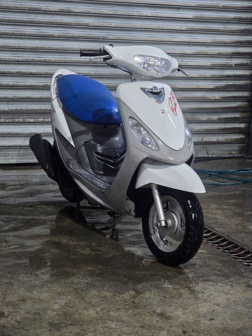 ماكس منغولي للبيع للتواصل ‏‪***********‬‏ واتساب مابي
