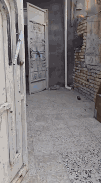 سلام عليكم 
بيت للبيع مساحه 100م جاهز السكن يحتوي على غرفه نوم وصاله وصحيات ديوانيه قيد الانشاء المكان سديناويه منطقة العصوم قريب عل تبليط كل الخدمات موجوده ماء كهرباء مجاري الاستفسار اتصال ***********
