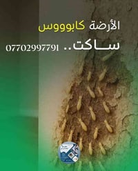 #الارضة كابووس معالجة الارضة والقوارض بجهاز السونار الحديث ويتم التخلص...