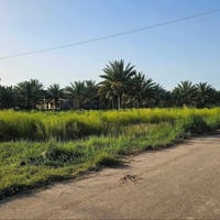نص دونم • واجهة ٤٥م • الزبيلية كربلاء