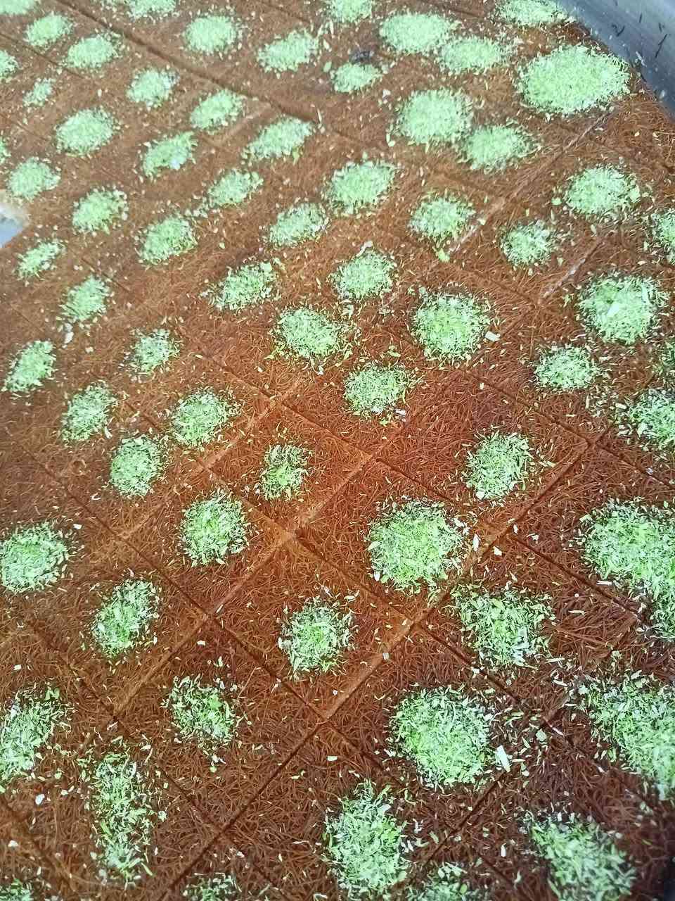 🍬✨ حلويات مرطبات النور ✨🍰

دلّل نفسك بأشهى أنواع الحلويات الطازجة 😍
كلها بطعم يميزنا وجودة تثق بيها 💖

🚚 يوجد لدينا خدمة توصيل داخل الموصل 🎉
📍 الموقع: موصل – جانب الأيمن – سوق حي المنصور – مجاور صيدلية النجاة 🏠
📞 للطلب والاستفسار: *********** 📲

🍯 لأن الحلا الحقيقي من مرطبات النور ✨
