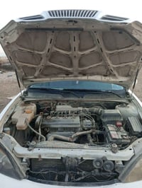 ماكنوس • كورلا ١٨٠٠ • رقم دولي بغداد