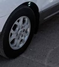 مطلوب • مروس بول • عادي