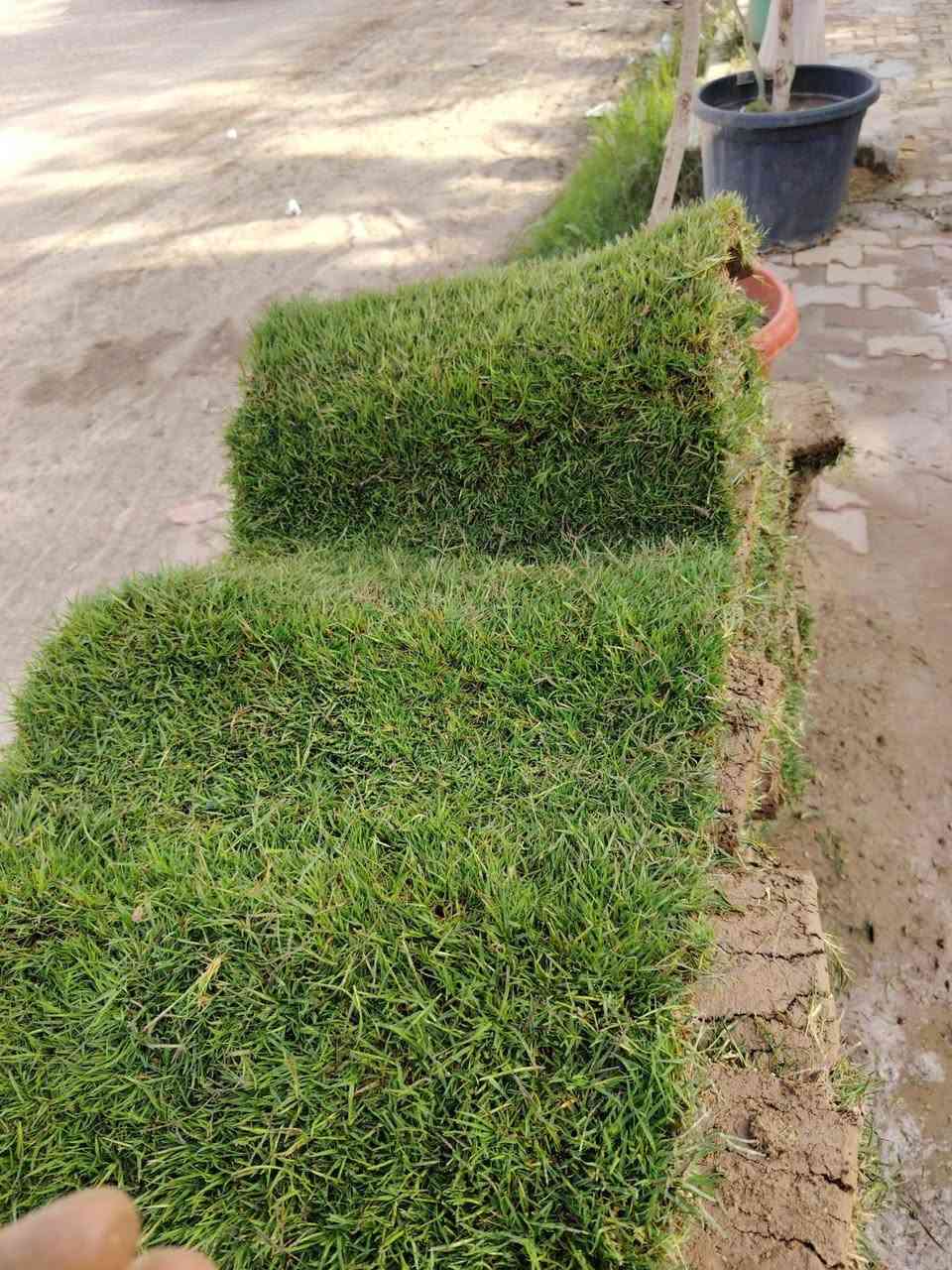 وصلنا ثيل درجة اولى هندي✅
العنوان كورنيش الديوانية مقابل هايبر توفير 
للحجز والاستفسار مراسلة الصفحة


**إذا كنت صاحب هذا الإعلان وتريد حذفه لأي سبب، رجاءا أرسل رسالة إلى الدعم الفني**