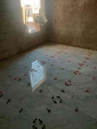 اصتا متفرغ حاليا اختصاص ارضيات بورسلين سرميك كرنيت مرمر شرط الشغل درجة...