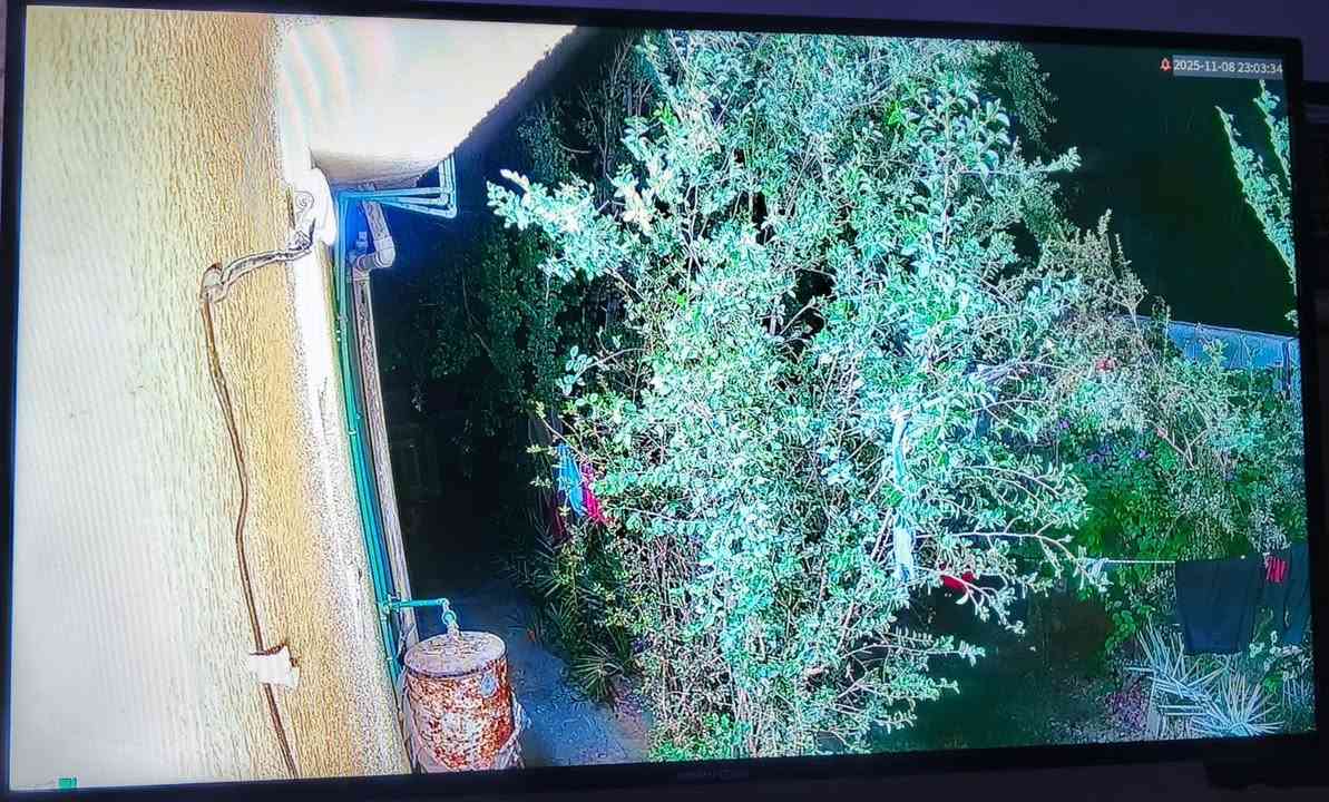 مستعدون لتجهيز وتنصيب الكاميرات 📸
لكافة المواقع🌍
( منازل _ محلات _ شركات - مجمعات سكنية)
تجهيز وتنصيب وصيانة وبرمجة كافة انواع كاميرات المراقبة 📸
تنصيب كامرات عالية الجودة بدقة احترافية🔥
  🔴كادر متخصص بكاميرات المراقبة وصيانتها  والبرمجة
 متواجدون في جميع مناطق الكوت

  ويتوفر لدينا جميع أدوات التنصيب الحديثة 🧰
للاستفسار يرجى  الاتصال  على الارقام التالية : 
📞☎️
***********
