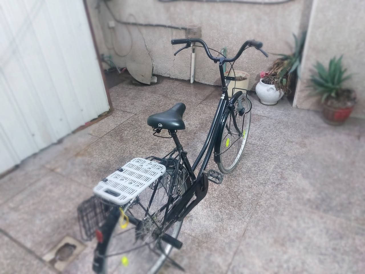 سلام عليكم ورحمة الله 
بايسكل بناتي فول واحد على واحد للبيع البايسكل نضيف مال رمبة السعر 110 و بي مجال بسييط المكان بغداد العبيدي شارع البرتقالة رقم الهاتف ***********
