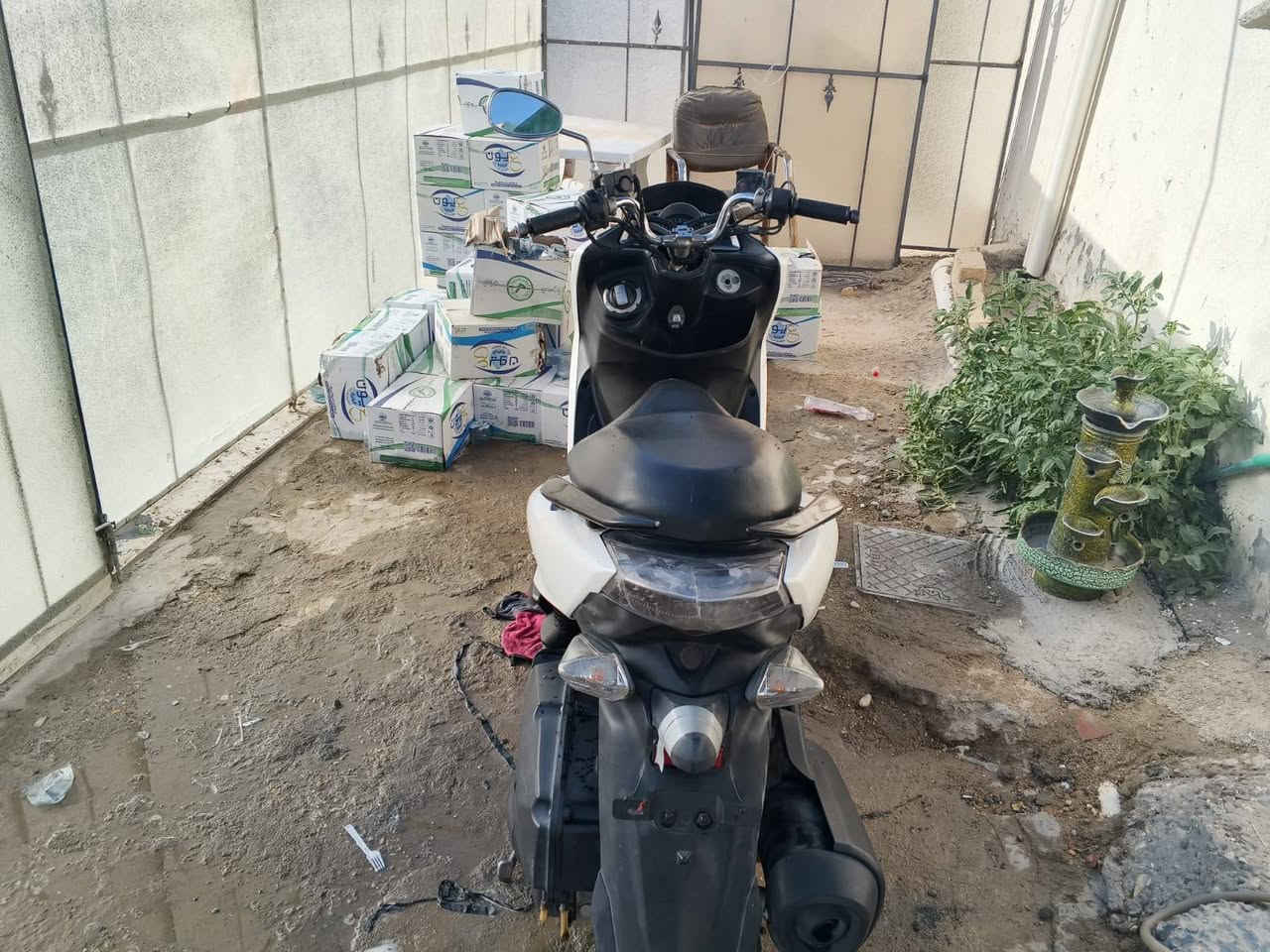 ماجستا s..
للبيع...  
واساب ***********
