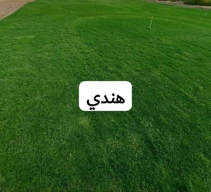 انتاج خاص بمزارعنا
حيث الجودة والسعر المناسب 

☘ثيل هندي طبيعي نوعية ممتازة🍀 مناسب للاستخدام في ( المنازل🌳_ الحدائق🌳_ الملاعب🌳_ الدوائر🌿) 

#انتاج_خاص #شكل_مثالي  #سعر_تنافسي

✨ سعر المتر يختلف للكميات الكبيرة ✨

يوجد خدمة توصيل لجميع محافظات العراق 

#ملاحظة : التوصيل مجاني ❤️

(مستعدون لتجهيز الحدائق المنزليه و الملاعب الرياضيه و المنتزهات و الدوائر الحكومية بكادر مختص مميز يجيك لباب بيتك #بأسعار #تنافسيه )
🍁للاتصال او الاستفسار  متوفر مفتوح طوال اليوم
*********** اتصال أو واتساب
*********** اتصال او واتساب
الزبيدي لبيع الثيل الطبيعي 
متابعين
متابعين
عبدالسلام الزبيدي
بلدية الموصل - Mosul Municipality
مديرية بلدية قضاء الخالص
بلدية هبهب
اعلام بلدية بعقوبة المركز
قسم الزينة والتشجير مشاتل العتبة الحسينية المقدسة
