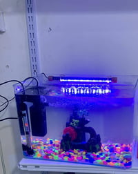 كامل • ديكور منزلي