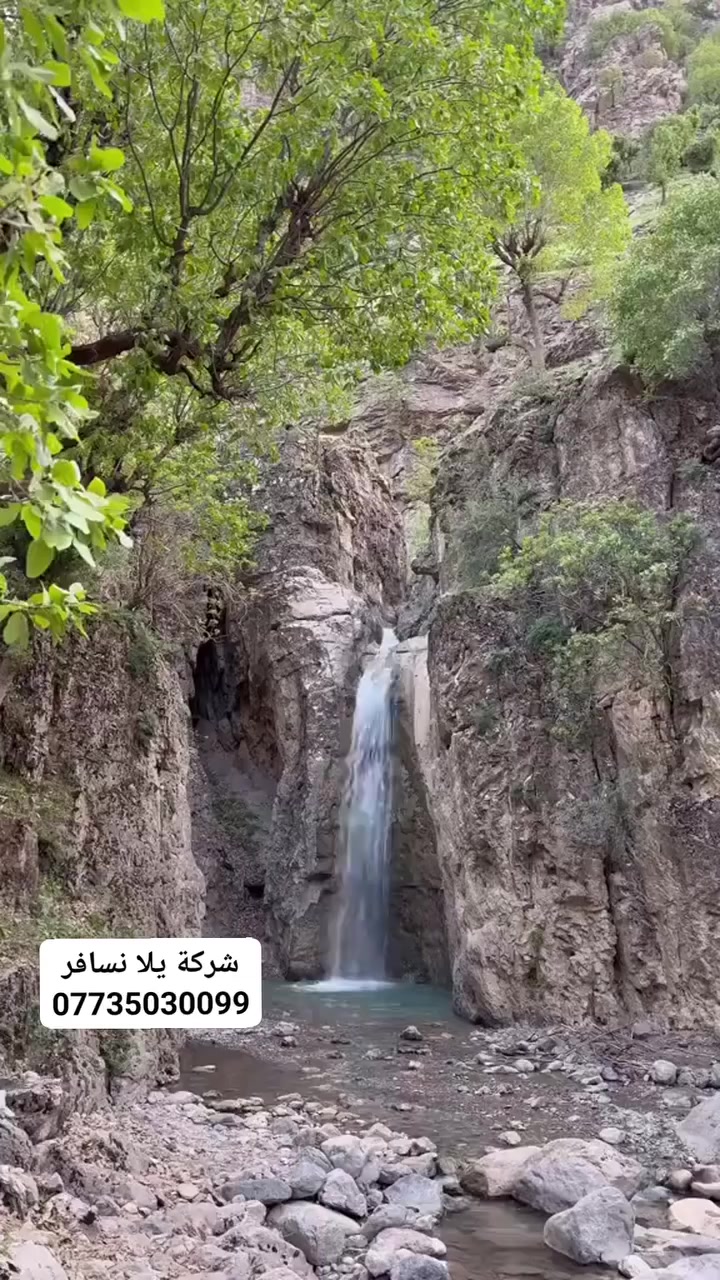 ❄️ شركة يلا نسافر ❄️
🎉 عروض العيد المميزة 🎉
رحلات طبيعة وأجواء خرافية داخل كردستان 🌿🏔️
📍 البرنامج يشمل:
1️⃣ 🌊 مصيف دربنديخان
2️⃣ 🌳 مصيف ريشين
3️⃣ ⛰️ مصيف شميران
4️⃣ 💦 أحمد أوى
5️⃣ 🏔️ بيارة هورمان
6️⃣ 🐟 خورمان
  🌊 بحيرة أسماك + ♨️ عين كبريتية
7️⃣ 🌊 جميرزان (مصيف + شلال)
8️⃣ 🌲 كونه ماسي
9️⃣ 🌳 غابات سنجاب
🔟 🏞️ مصيف دوكان
1️⃣1️⃣ 🌊 بحيرة دوكان
1️⃣2️⃣ 🌄 مصيف قرداغ
💰 السعر: 10,000 دينار فقط للنفر
👶 الأطفال تحت 6 سنوات مجاناً
🚌 وقت الانطلاق: الساعة 9:00 صباحاً
🎉 مسابقات وهدايا مميزة خلال الرحلة
✨ أجواء جبال – غابات – بحيرات – شلالات – ينابيع
👨‍👩‍👧‍👦 مناسبة للعوائل والشباب
📞 للحجز والاستفسار:
***********
***********
📸 انستغرام: fm19992026
🎵 تيك توك: ms2ca
