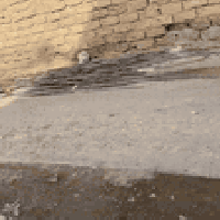 حديد للبيع بي طن الشراي يتصل 07864244477