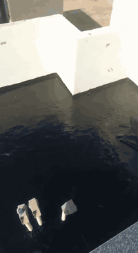 يا الله تطبيك كافه الصطح كرسته وعمل وع المتر من التنضيف والفلانكوت والزفت والبناء والمزيج والماستك والايلون ملاحضا شتايكر السماوه شرط فحص العمل مهندس بأسعار مناسبه مكاني الناصريه الاستفسار ماراسله أو اتصال *********** والتوفيق من الله
