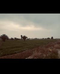 طابو زراعي • سند 25 • ابو غریب في10مناصير