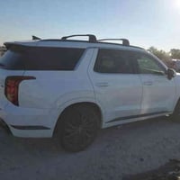 بليسايد كلغرافي • ٢٠٢٤ • مزاد