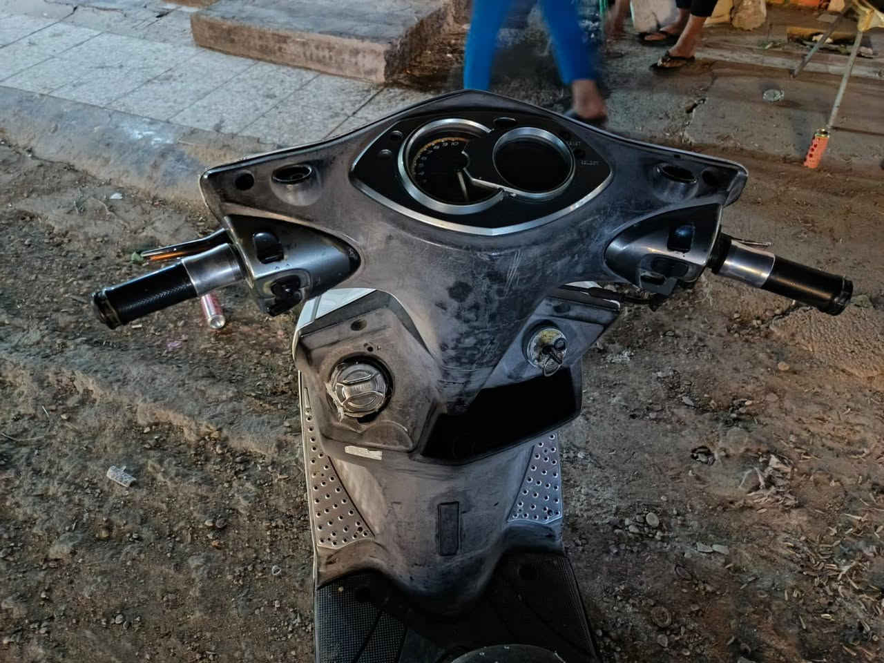 سكنس فحل للبيع او المراوس الموشراي لايتعبني ***********
