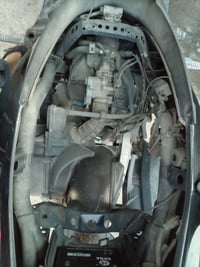 دراجة سكنس • فحل • خطين