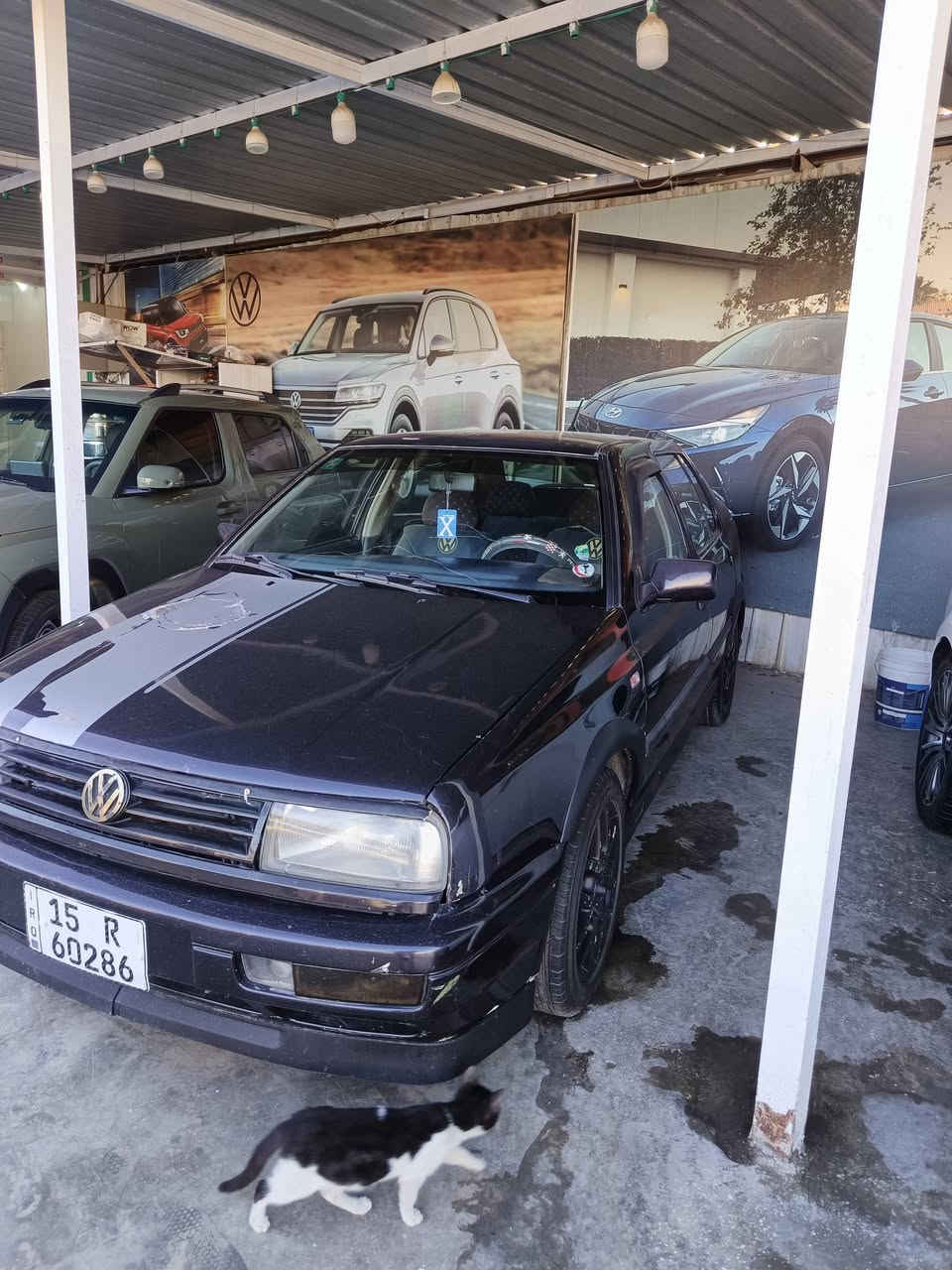 كولف فنتو ٩٦ كير عادي رياضي محرك ٦ سلندر كير ومحرك وتبريد وصدر كفالة تخم تاير جديد رايدها ب ٣٧ مكاني بغداد جديدة


**إذا كنت صاحب هذا الإعلان وتريد حذفه لأي سبب، رجاءا أرسل رسالة إلى الدعم الفني**