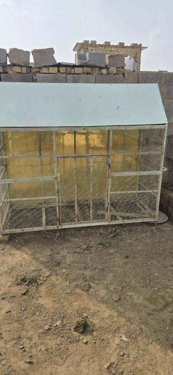 أقفاص عدد 3 نظيفات ، ثنين خشب وواحد حديد  يرهمن بلابل طيور حب كوكتيل وكافة الطيور مكانهم قريب من الكوت ويوجد توصيل للاستفسار عن القياسات والاسعار الاتصال ع الرقم ***********
