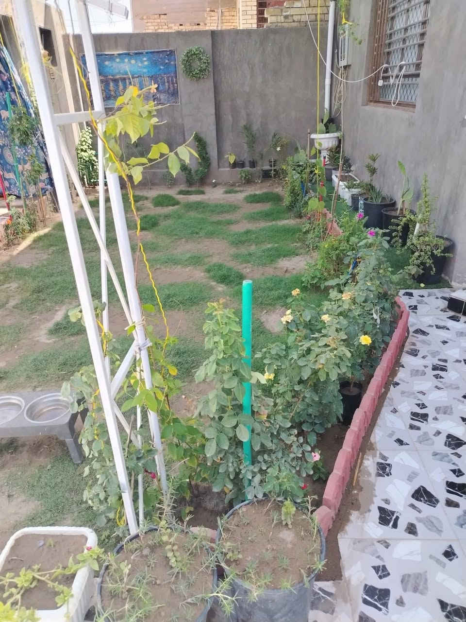 بيت للبيع كريطعه  فرع إحسان الخفاجي مساحه ٢٠٠ بناء٢٠٢٥
للاستفسار الاتصال على الرقم *********** مراسله واتساب
