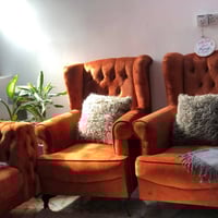 نص تخم • موديل تركي • الدوره