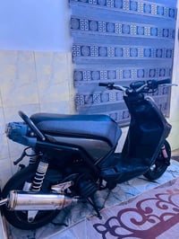 سكنس جبلي • كفالة عامة • وكالة