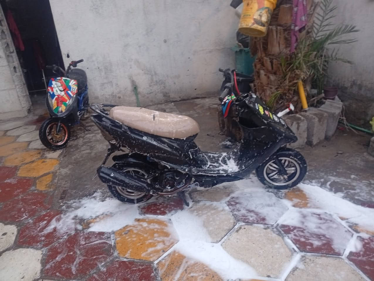 ماكس عدل البيع مكاني قيله واذا مراوس عادي بوشه 55 $،***********
