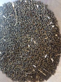 بزربانيه الحسناويه • بابل القاسم • درجة أولى