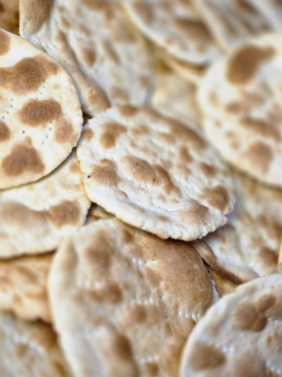 گليچة خفيفي سادة
گليچة خفيفي محشية تمر و جوز


**إذا كنت صاحب هذا الإعلان وتريد حذفه لأي سبب، رجاءا أرسل رسالة إلى الدعم الفني**
