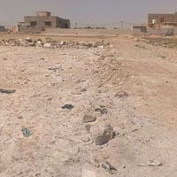 نص دونم • حي الحكيم الثانيه