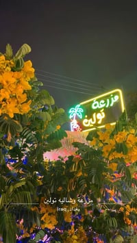 مزرعه تولين مكانها الدوره للحجز 07844443610