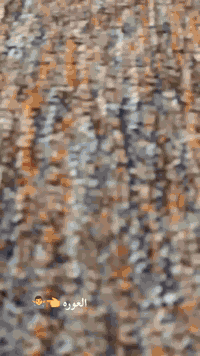 دراجه بوليس موديل 2010 محرك مكفول  دراجه صاله 5 تشهر من طالع من المعرض...