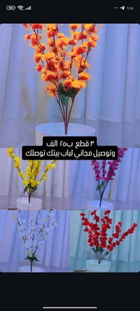 عرض خاص • ٣ قطع • توصيل مجاني