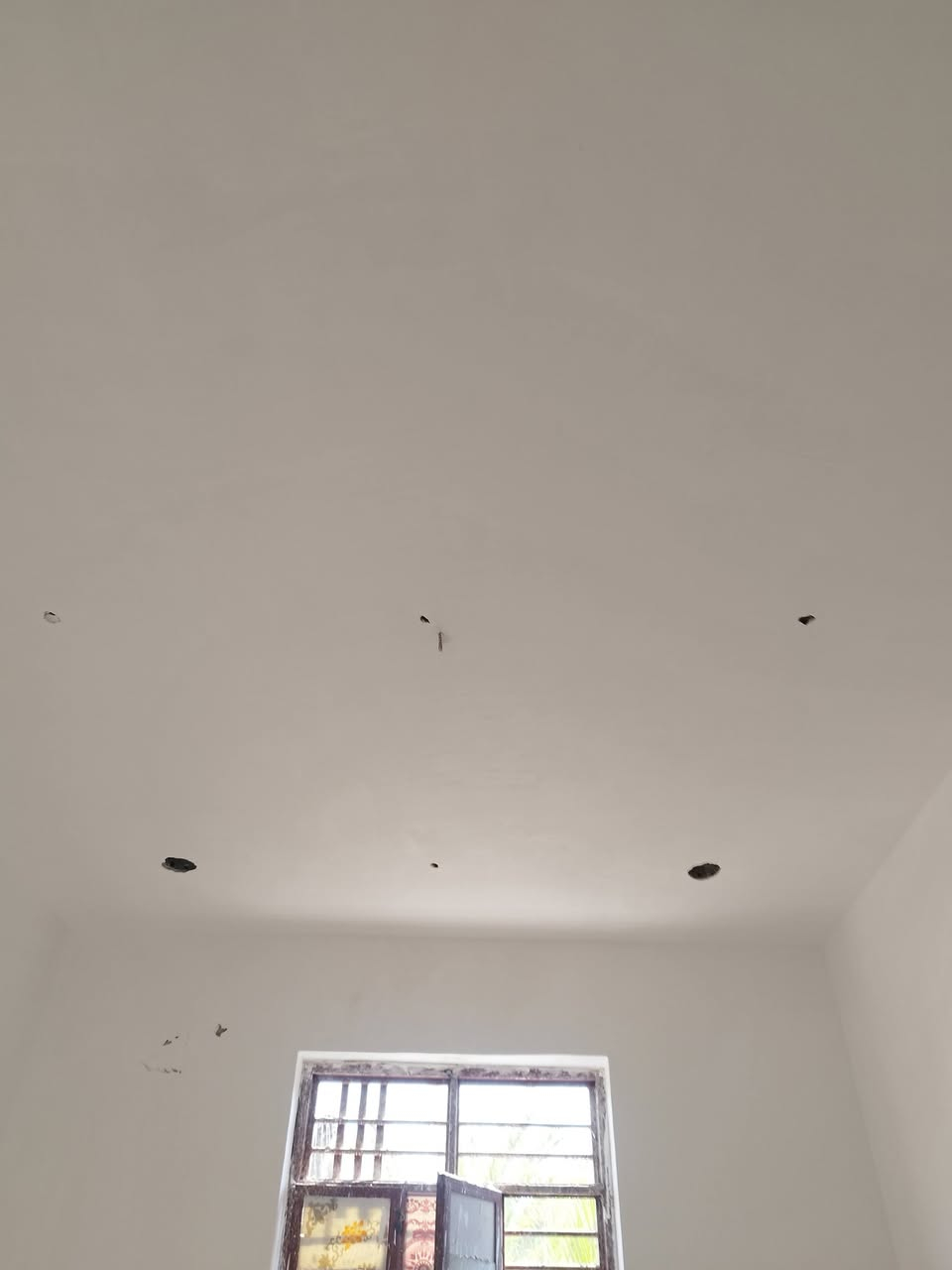 البخ سميت جض
مخمر بورك 
***********
