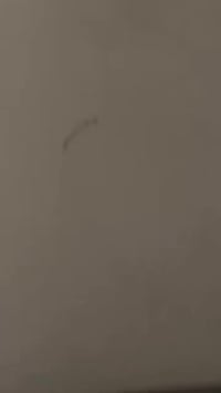 ارقام فحص مؤقت للبيع كفاله سعر مناسب تواصل خاص 07727792441