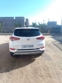 توسان • ٢٠١٨ • قضاء الهوير