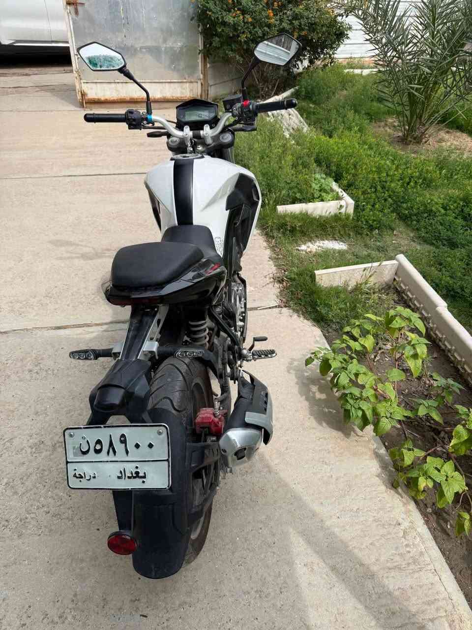 دراجه بنيلي 180ماشيه ٤٥٠كيلو رقم بغداد مداور دراجه جديده ما متعوبه السعر 22ورقه غير متواجد عل فيس للاستفسار الاتصال ***********
