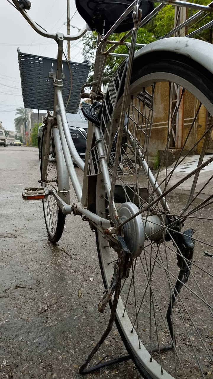 سلام عليكم
باسكل حجم 26للبيع مابي اي نقص كامل مكمل ميحتاجله شي السعر 85بي مجال قليل مكان ديالى بعقوبه لشراي يجي خاص ولموشراي ليراسني


**إذا كنت صاحب هذا الإعلان وتريد حذفه لأي سبب، رجاءا أرسل رسالة إلى الدعم الفني**