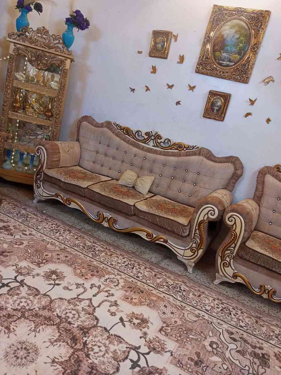 تخم زان تركي عشر مقاعد نظافه فول لسعر 500بي مجال بسيط مكان مشتل شارع لمطبك *********** بغداد, العراق
