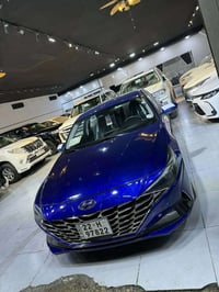 النترا ٢٠٢٢ • ماشية ٦٣ • نص البنيد صبغ