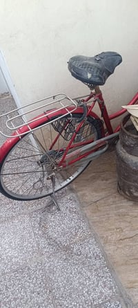 باسكل • حجم ٢٧ • نظيف
