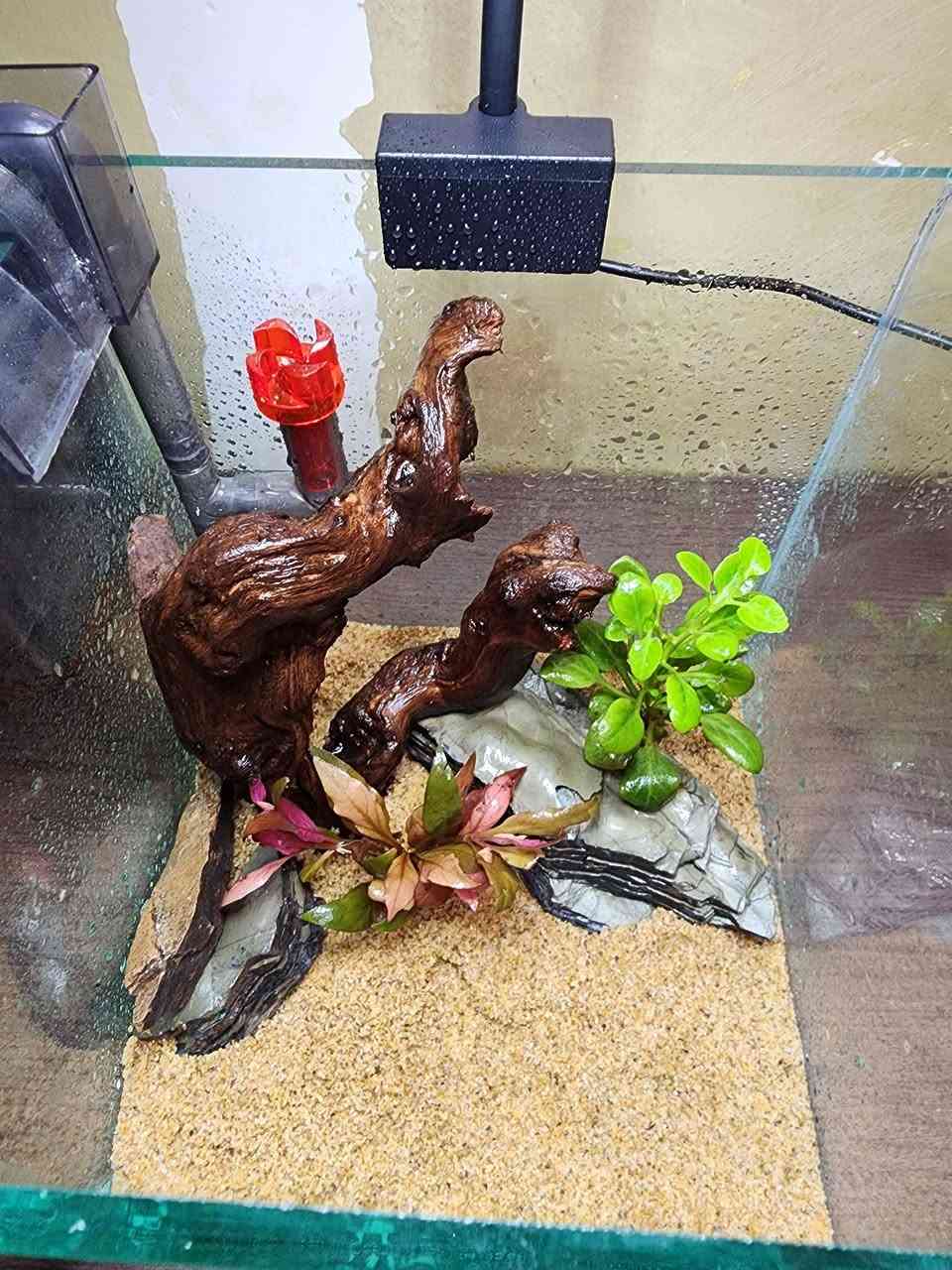 تجهيز طلب حوض  20×20×20
كامل الملحقات 🌿🐠

السعر ٤٠ الف ✅️
يوجد توصيل  لجميع المحافظات🚛


**إذا كنت صاحب هذا الإعلان وتريد حذفه لأي سبب، رجاءا أرسل رسالة إلى الدعم الفني**