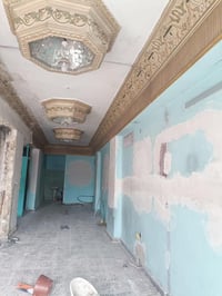 ضباغ • متفرغ • شغل كلشي