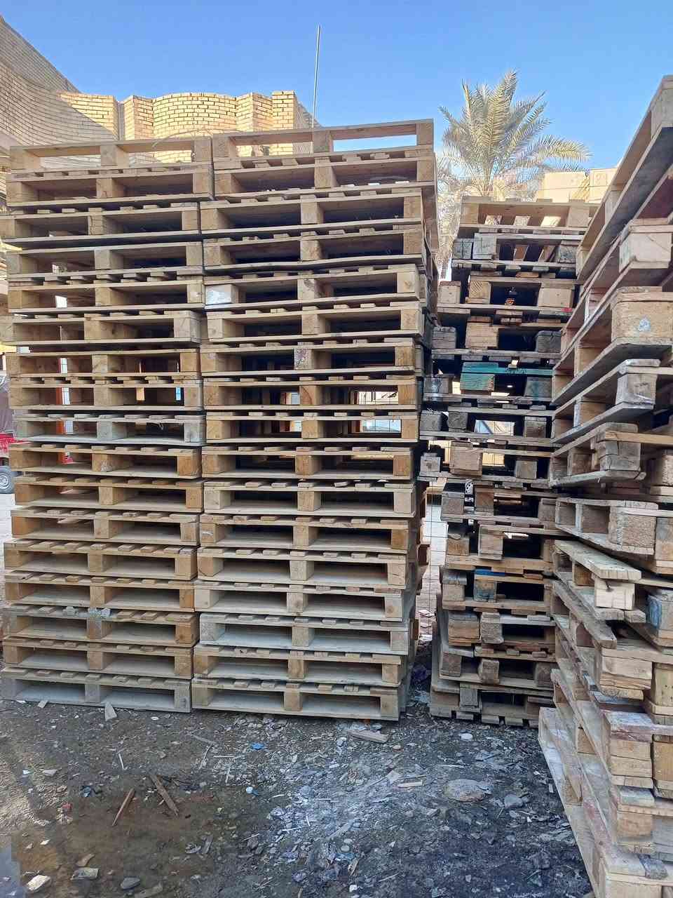 سكيب 120×100 نضيف 

العدد 350 المكان بغداد الشعب 

***********
